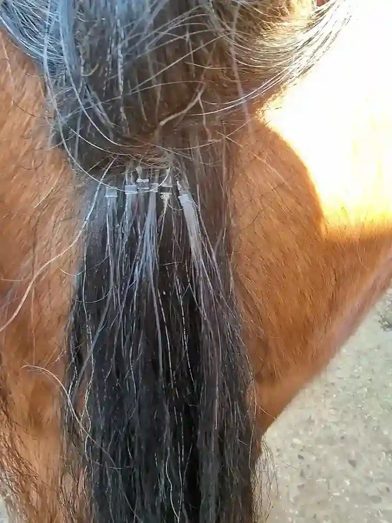 Microring Extensions