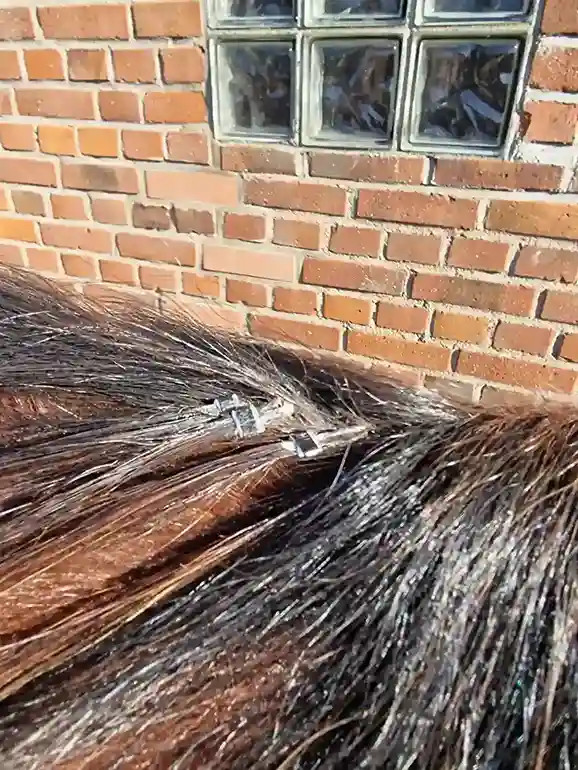 Microring Extensions Mähne